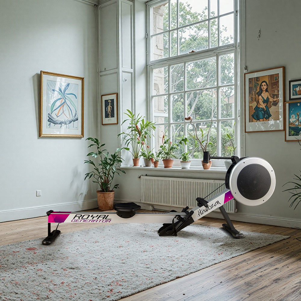 Royal Generator Reconditionné