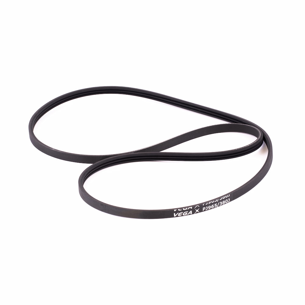 Courroie 2 MOOVYOO - FitnessBoutique