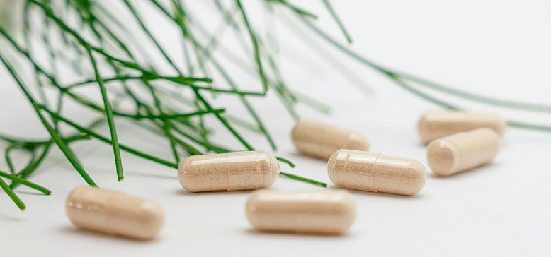 Tribulus & Ashwagandha - Complément Musculation Naturel Pour Force Et Volume