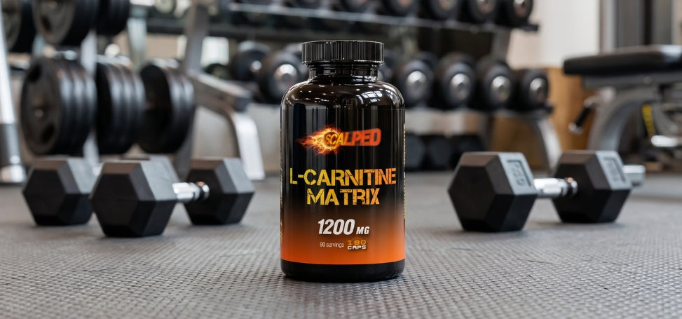quand prendre l carnitine la L-Carnitine ? Dietary intake and bio-activation Skin Concern: Premature ageing Size:1.5 lb.