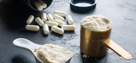 creatine en musculation