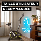 Compact Bike 2