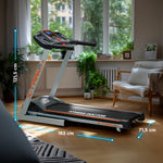 X Trail 3