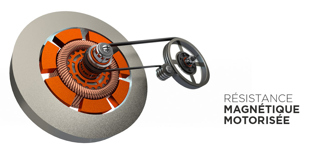 Generatore di velo II