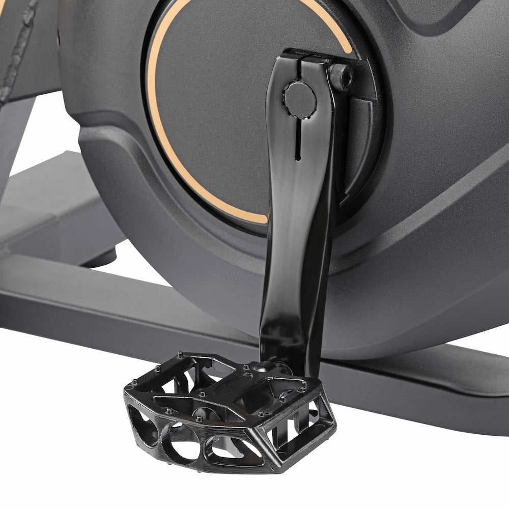 Wind Bike Max Reconditionné