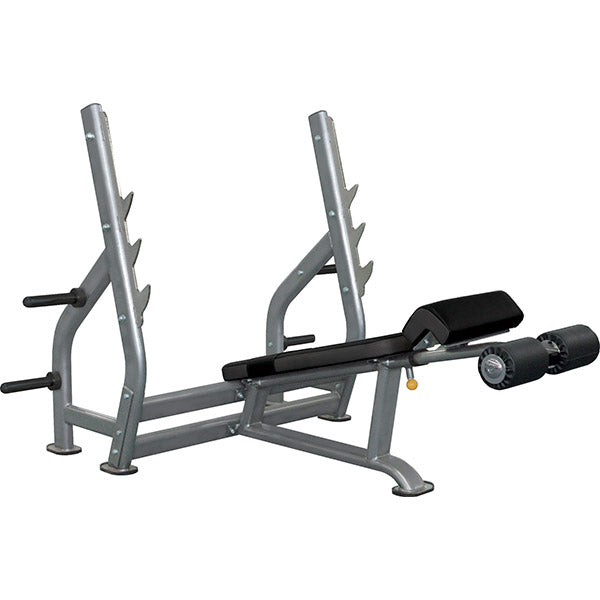 Banc de musculation décliné professionnel pour training du haut du corps Banc de musculation décliné professionnel pour training du haut du corps