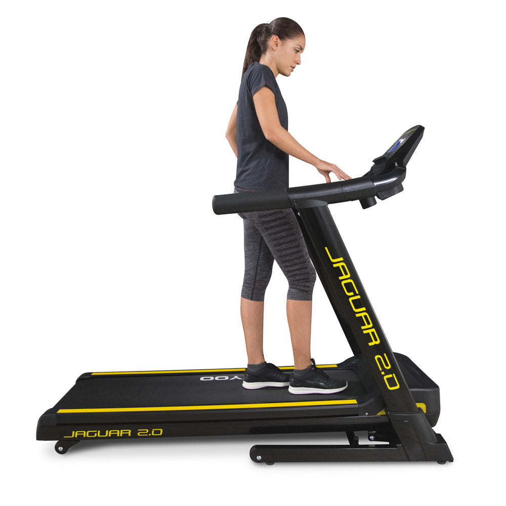 🏃♂️ Moovyoo Jaguar 2.0 : puissance, confort et variété pour