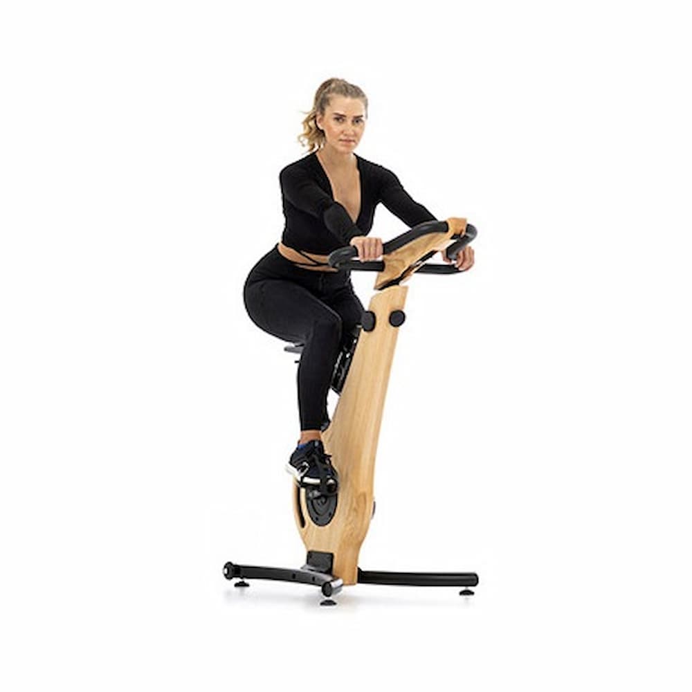 Bike Hêtre reconditionné