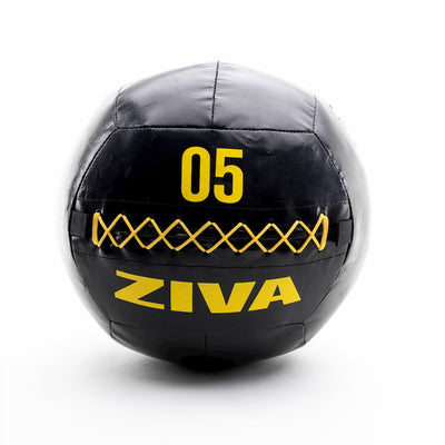 ZIVA Wallball